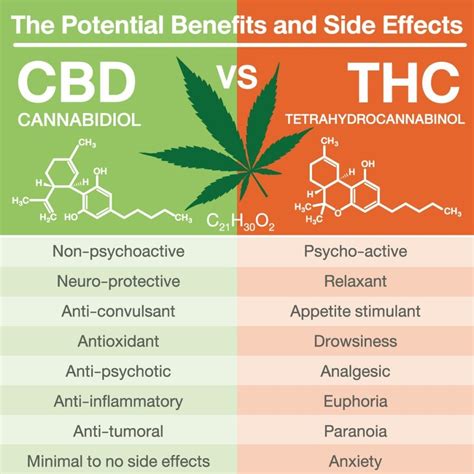 CBD Doesn’t Mitigate Negative Effects of THC in Cannabis, Study Finds ...