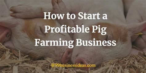 How To Write A Business Plan For Pig Farming - Encycloall