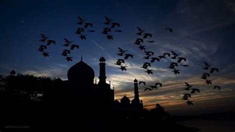 25 Beautiful Taj Mahal Photos - Most photographed building in the world ...