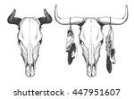 Bull Skull Free Stock Photo - Public Domain Pictures
