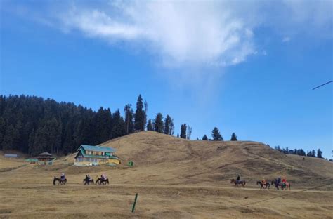 Snowless Gulmarg meadows turn into dry cricket fields - Daily Good Morning Kashmir