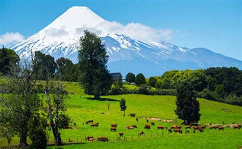 Guide to Osorno, Chile: Best Things to Do and Expat Safety