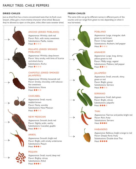 All You Need To Know About Dried Chiles - Food Republic