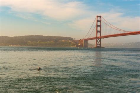 Kayak California | Stunning San Francisco CA Kayaking Destinations