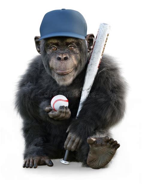 Cute Baseball Monkey Stock Illustrations – 73 Cute Baseball Monkey ...