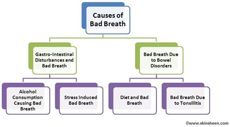 Chronic Bad Breath : Causes, Diagnosis, Treatment and Prevention