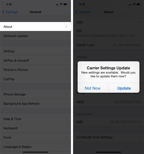 How to Update Carrier Settings on Your iPhone and iPad - iGeeksBlog