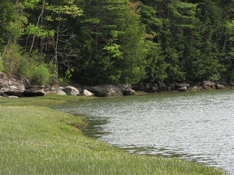 Hiking Near Southern Maine Cousins River Trail Freeport - Flavorverse