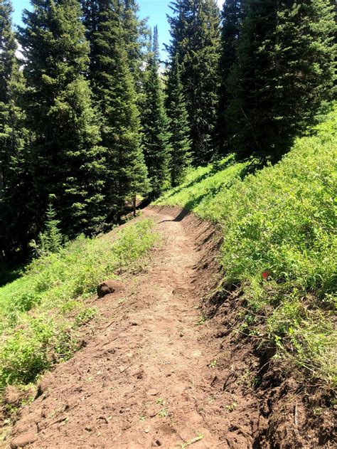 Trail repaired, upgraded in Cottonwood Canyon area that gets more ...