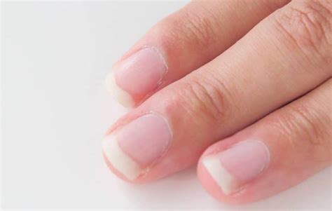 Taking the Mystery Out of Healthy Fingernails - Ask The Scientists