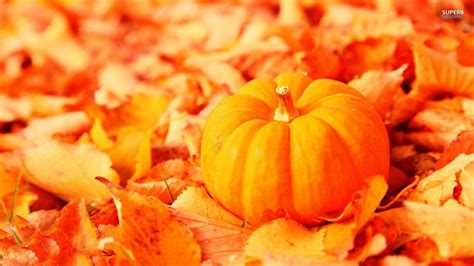 Pumpkin Wallpaper Backgrounds - Wallpaper Cave