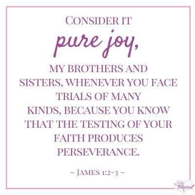 25 Bible Verses on Joy