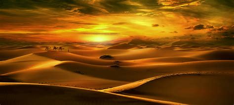 Western Sahara Travel Guide | Things To Do, Places To See, Visit : The ...