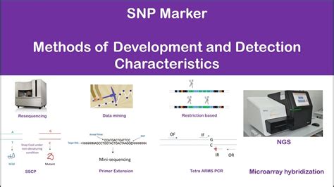 SNP (single nucleotide polymorphism) marker: detection, characteristics ...