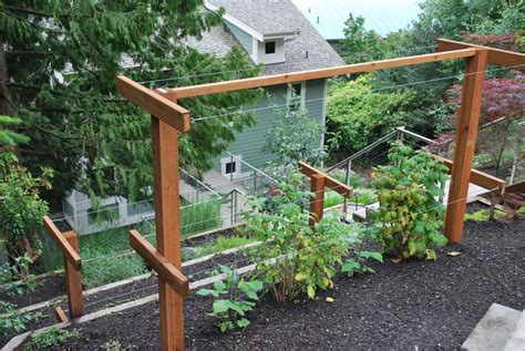 Diy Raspberry Trellis Plans - Ray Howtos