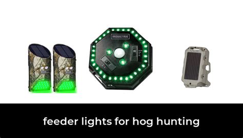 47 Best feeder lights for hog hunting 2022 - After 162 hours of ...