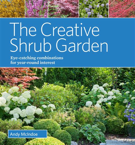 Buy Creative Shrub Garden: Eye-Catching Combinations That Make Shrubs the Stars of Your Garden ...