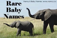 Rare Baby Names | Cute baby elephant, Baby animal names, Baby elephant pictures