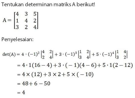 Contoh soal determinan matriks - altansa