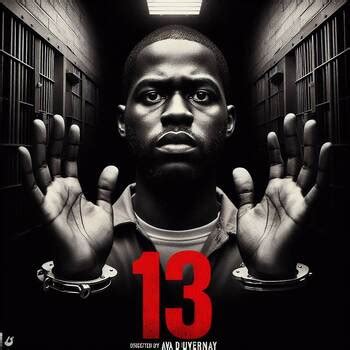 13th (2016) Documentary Viewing Guide: Summary/Vocabulary/Questions