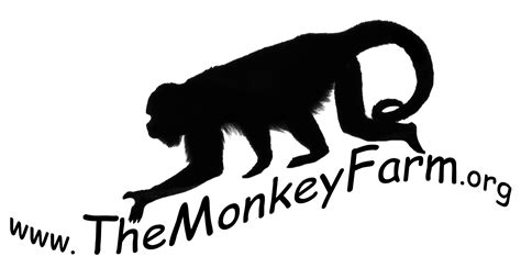 The Farm - The Monkey Farm - Costa Rica | Ride Horses on the Beach