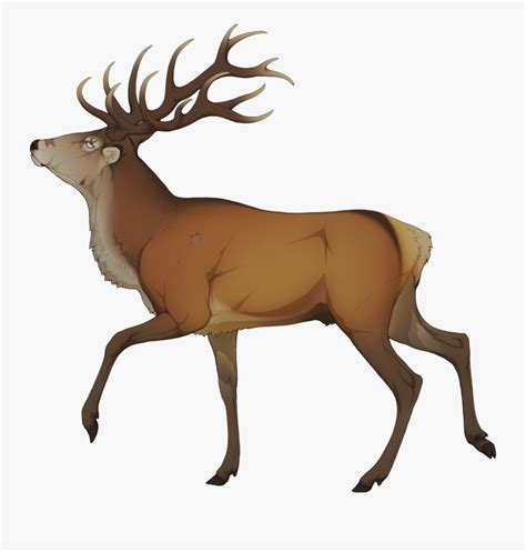 Elk Clipart Golden Deer - Elk Clipart , Free Transparent Clipart ...