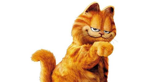 Garfield's a boy … right? How a cartoon cat's gender identity launched a Wikipedia war - Chicago ...