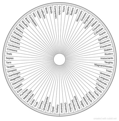 Subtil - Dowsing chart : Cosmic structure