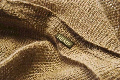 Hemp Clothing: The New Trend In Sustainable Fashion — Ecowiser