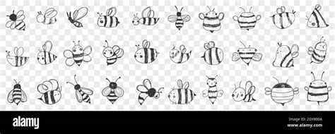 Bees doodle set. Collection of hand drawn various striped bees with ...