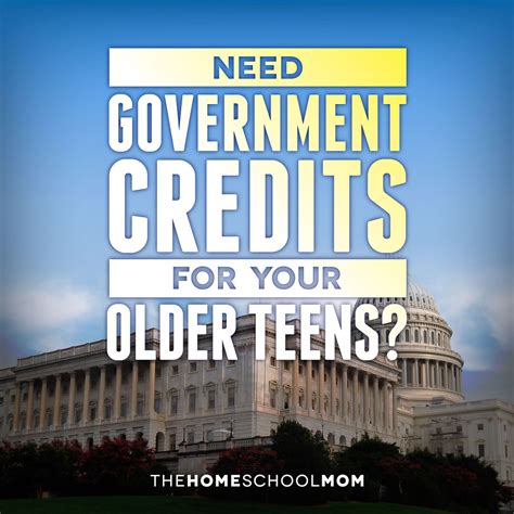 US Government - TheHomeSchoolMom