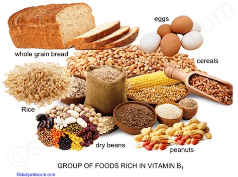 Vitamin B1, Sources, Deficiency, Function, absorption | Study&Score