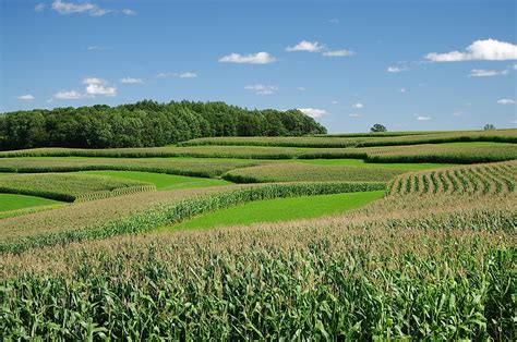 Contour Farming Diagram