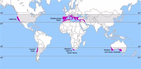 The mediterranean climate – gardening in mediterranean climates worldwide