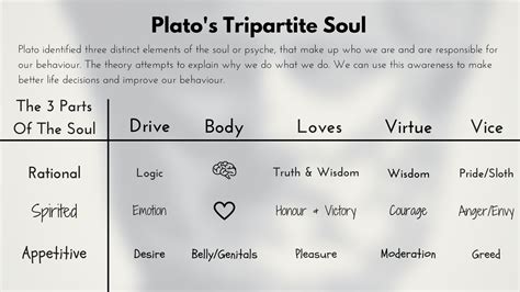 Belief vs Knowledge and Plato’s Tripartite Soul - VoegelinView