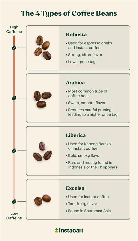 What Are The Main Types Of Coffee Beans And What's The Difference ...