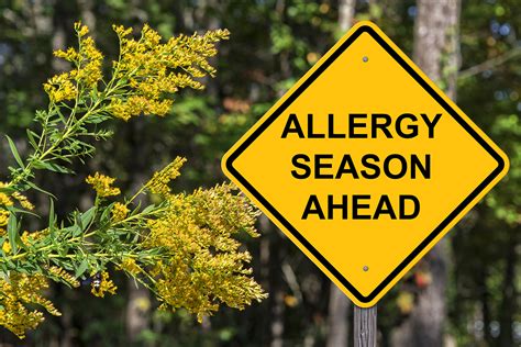 10 tips for surviving allergy season | DR. RONALD HOFFMAN