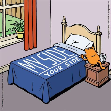 Pin by Kim Melton on funny | Bed humor, Funny cats, Cat comics