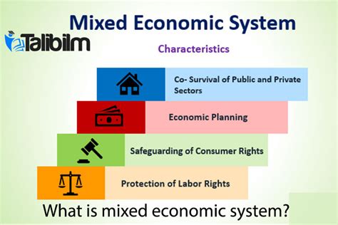 What is mixed economic system? Mixed economic system