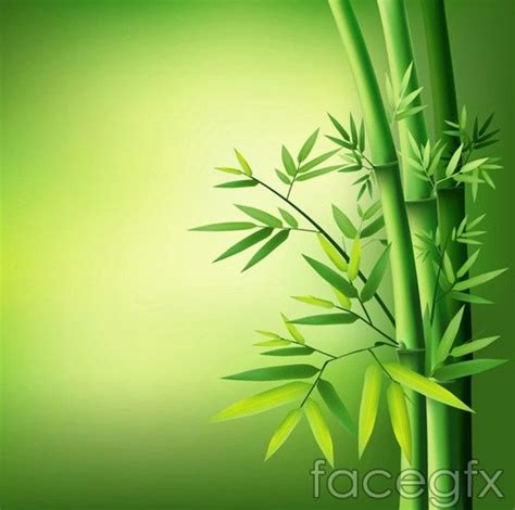 Green leaves of bamboo vector | Green nature wallpaper, Wallpaper nature flowers, Flower ...