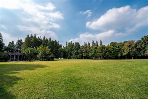 Premium Photo | Panorama of big city park