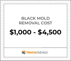 2020 Mold Remediation Costs | Mold Removal Per Square Foot - HomeAdvisor