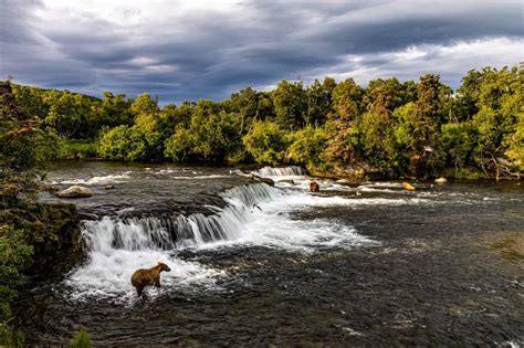 Your guide to visiting Brooks Falls in Katmai National Park - Bear Trail Cabins and Campground ...