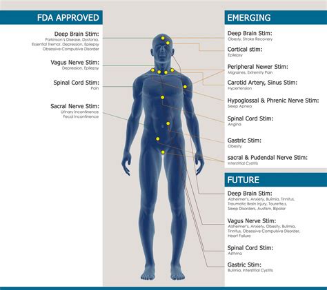 Neuroprosthetics Market Size, Share | Growth Prediction - 2032