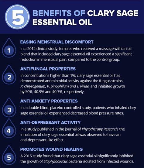 Clary Sage Essential Oil: Benefits, Uses & Best Company To Buy From | Clary sage essential oil ...