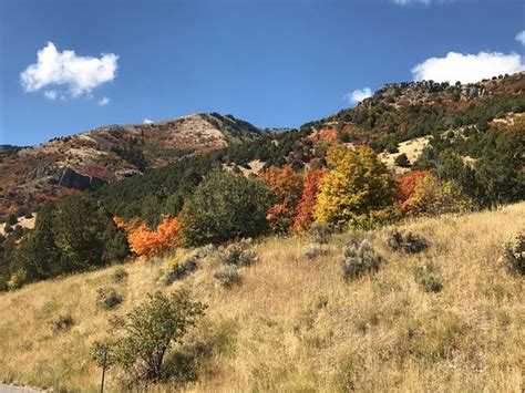 Logan Canyon Scenic Drive - All You Need to Know Before You Go (with Photos) - TripAdvisor