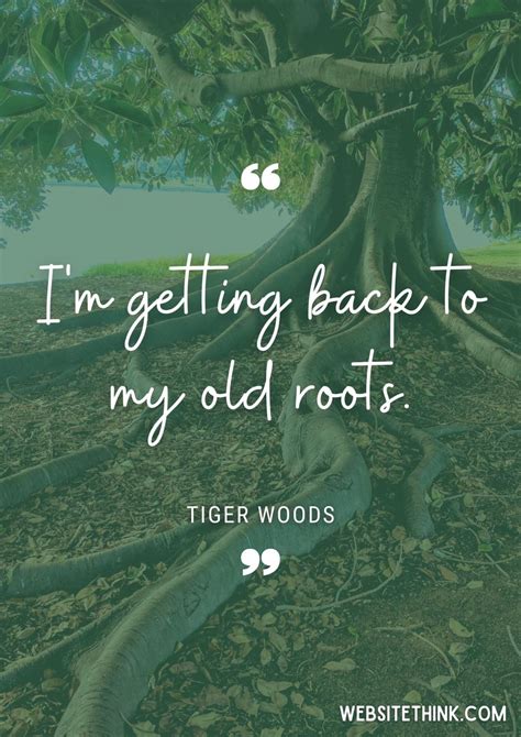 73+ Wise & Insighful Quotes About Roots! 🥇 [+ Images]