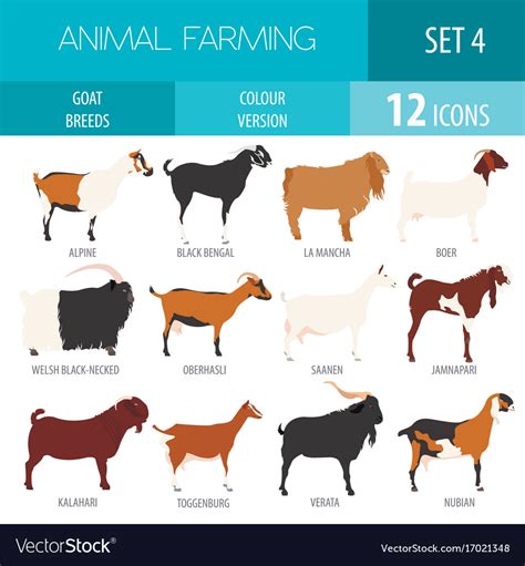 Goat breeds icon set animal farming flat design Vector Image