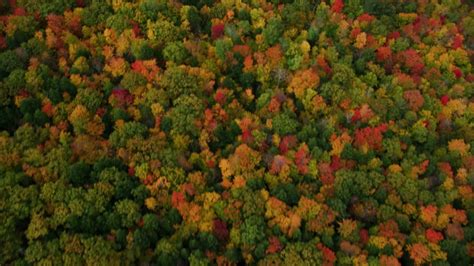 5.5K stock footage aerial video flying by colorful first, Turner Street ...