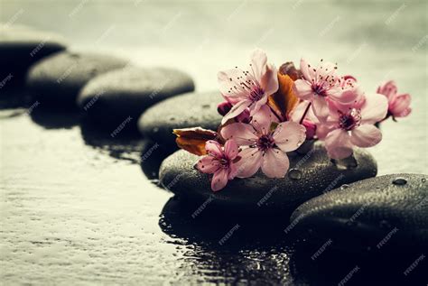 Free Photo | Beautiful pink spa flowers on spa hot stones on water wet background. side ...